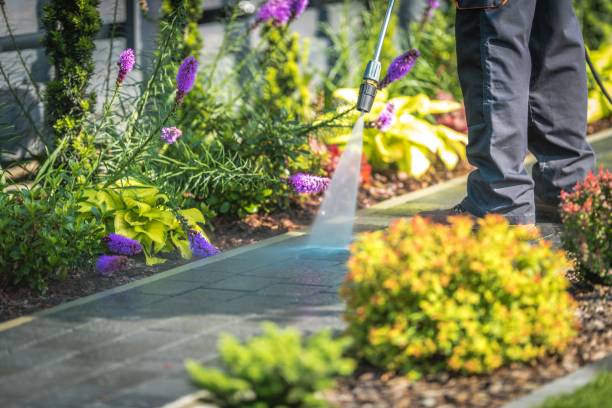 Best Parking Lot and Garage Cleaning  in Discovery Bay, CA